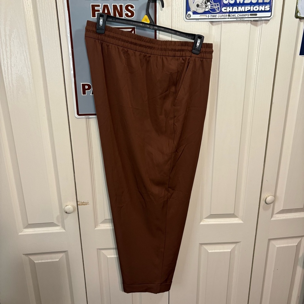 Stylus Women’s Brown Pants
